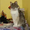 Отзыв от Ангелина Гришина